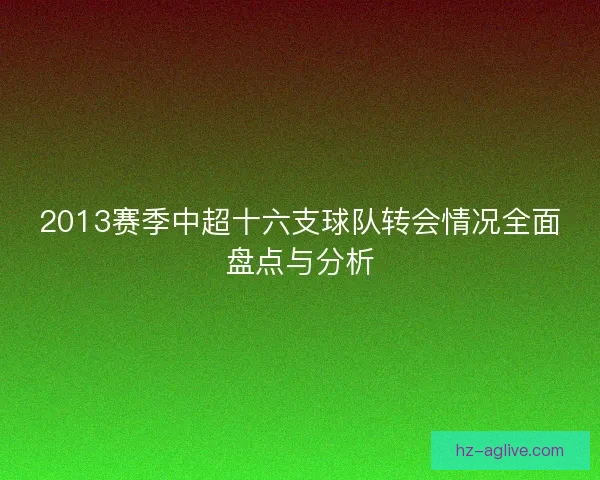 2013赛季中超十六支球队转会情况全面盘点与分析 2013赛季中超十六支球队转会情况全面盘点与分析