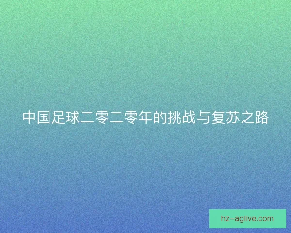 中国足球二零二零年的挑战与复苏之路